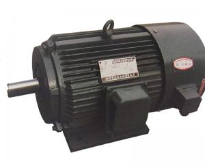 YVP系列變頻調速三相異步電動機